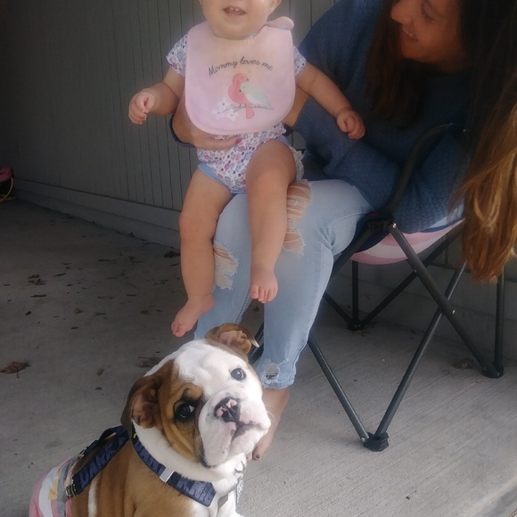 Meet your Posher, Tasha - Picture 4 of 4